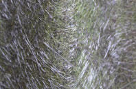 Great Rollright fibreglass roof work